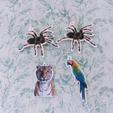 Tarantula earrings, parrot earrings, parrot lover gifts, parrot owner gifts, tiger lover gifts, tiger themed, animal themed gifts,