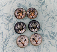 Cat face earrings, stud earrings, cat jewellery, crazy cat mom gifts, cat jewellery gifts, cat lovers, women gifts, animal inspired earrings